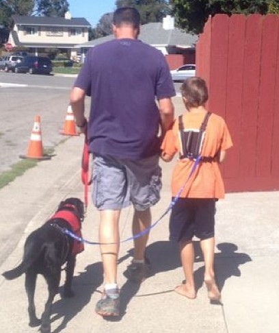service dog tethered for autism