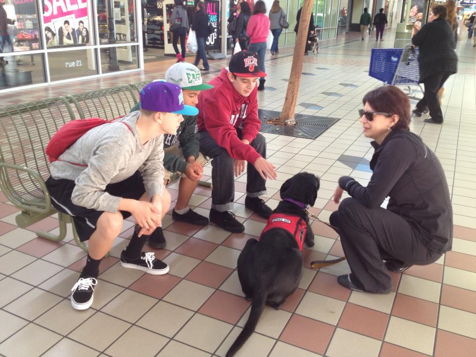 A woman makes time to explain service dog etiquette to some teens in a mall.